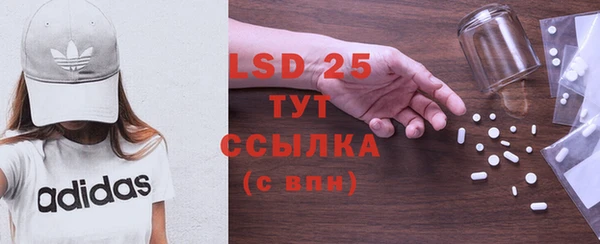 прущие грибы Абдулино