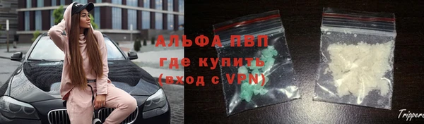 прущие грибы Абдулино
