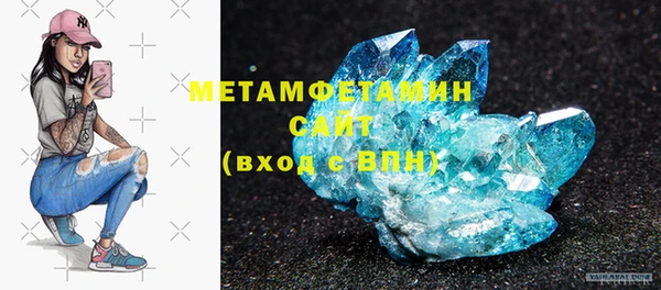 прущие грибы Абдулино
