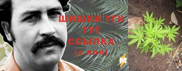 молекула духа Абинск