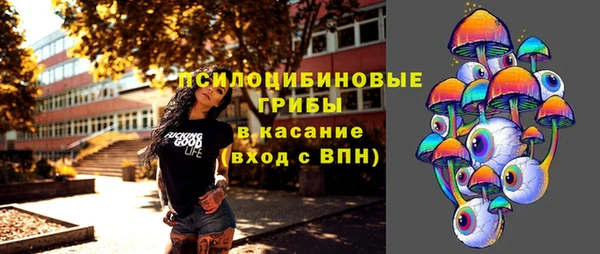 стафф Алексин