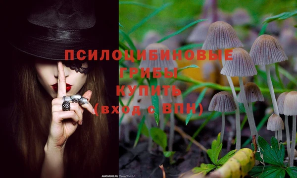прущие крисы Абаза