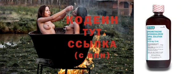 прущие крисы Абаза
