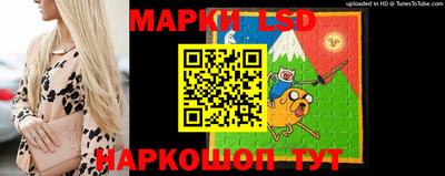 ГАЛЛЮЦИНОГЕННЫЕ ГРИБЫ Заволжье