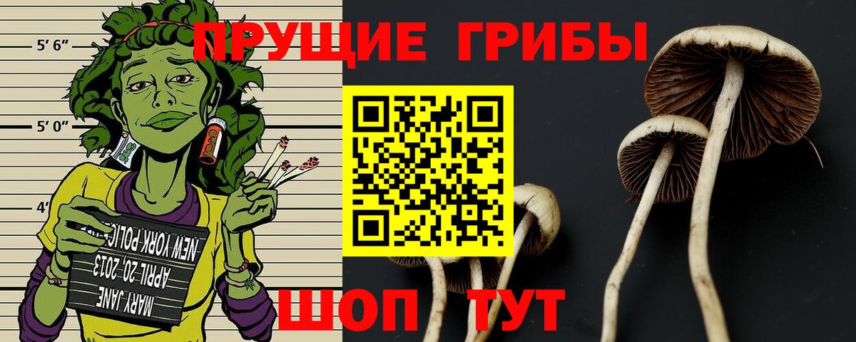 Лиски  Галлюциногенные грибы MAGIC MUSHROOMS  хочу   Вход с VPN 